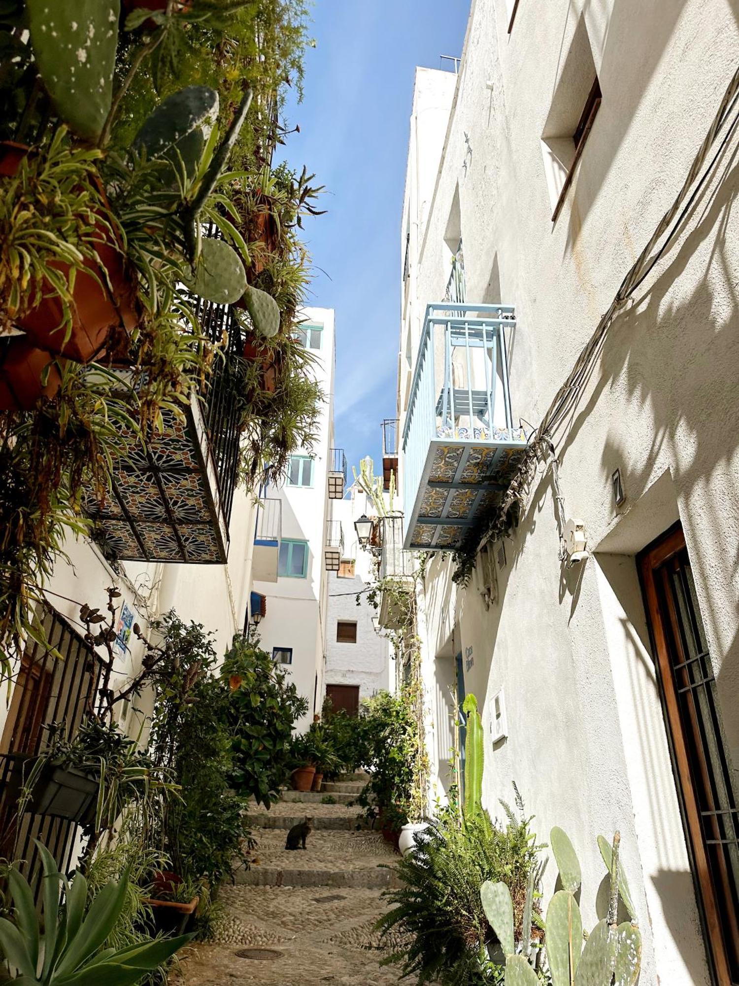 Casa Blava, Casco Antiguo De Peniscola Villa Eksteriør bilde